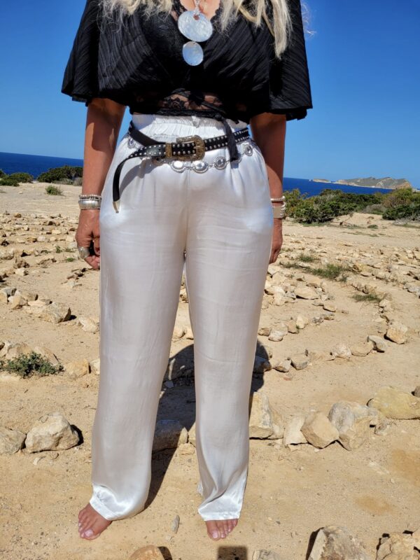 silk pants zilver